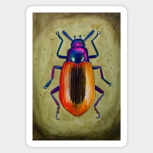 Beetle Sticker